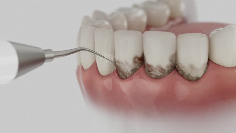 Reliable Dental contractor in Valley Forge, TN by Dentist Open Now